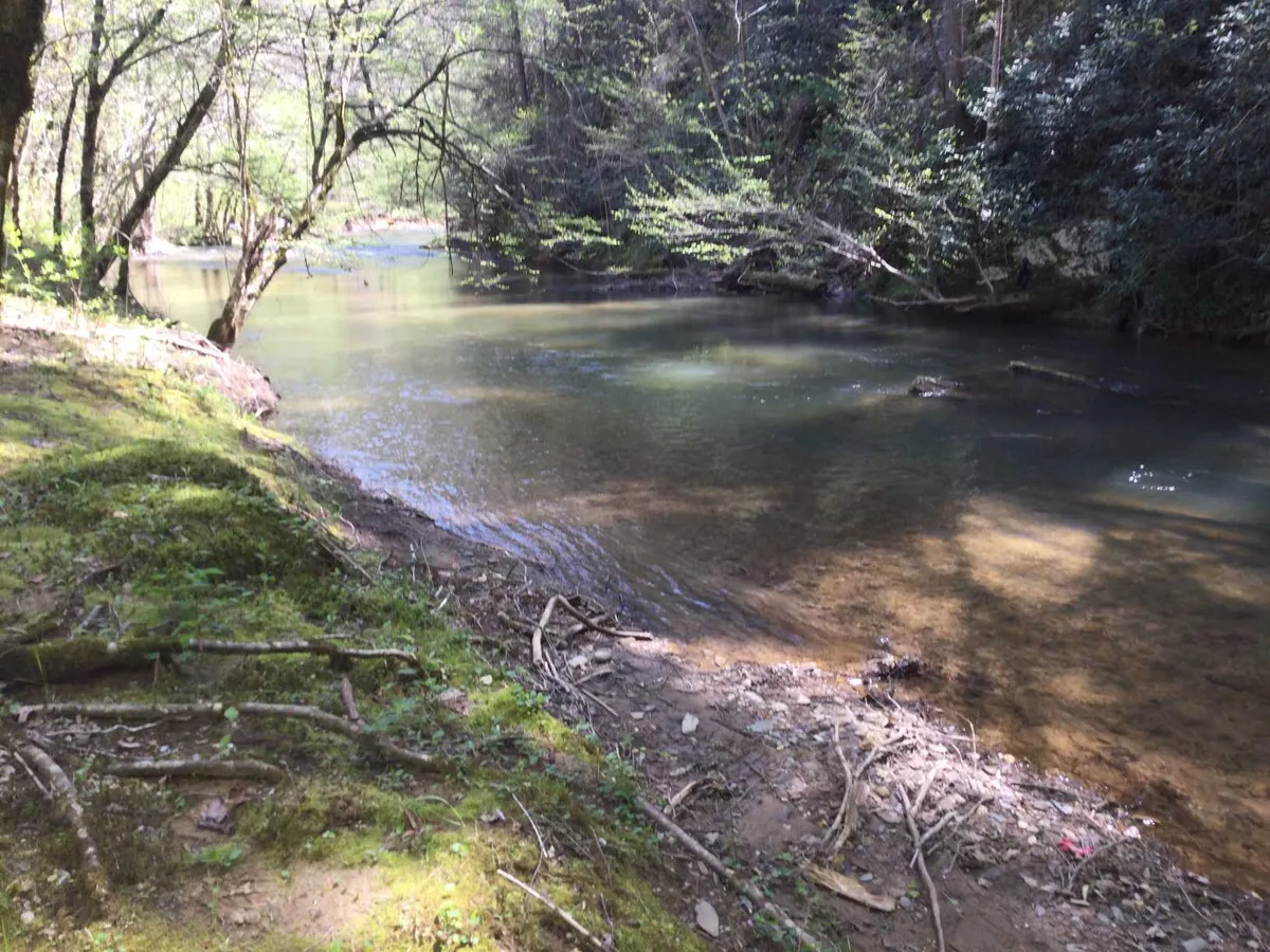 A serene view of a calm river bordered by lush green foliage and overhanging tree branches, with a riverbank that invites fishing, picnicking, or wildlife observation. The tranquil water reflects the surrounding greenery, evoking a sense of peaceful seclusion and natural beauty.